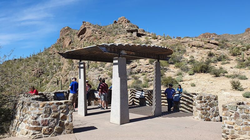 Wandering The Desert Garden Paths