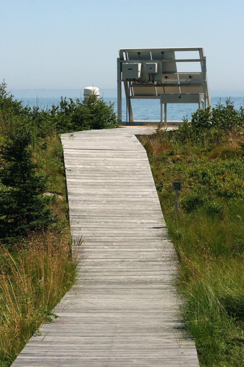 Exploring The Quiet Island Trails