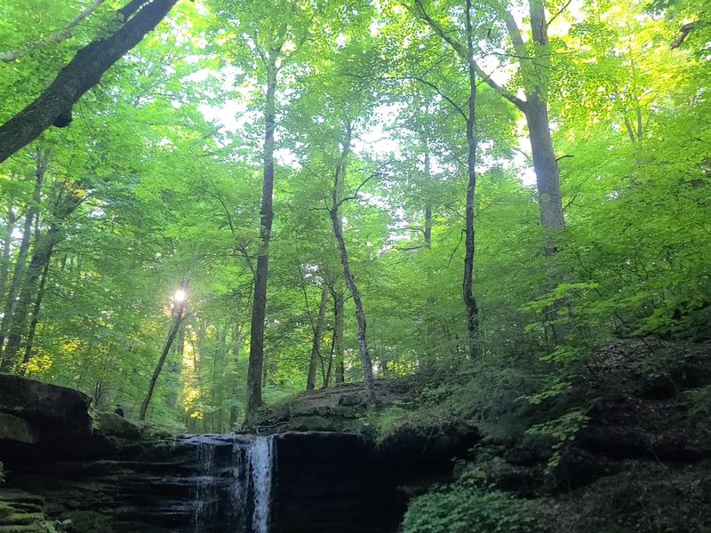 Best Times to Visit for Maximum Impact