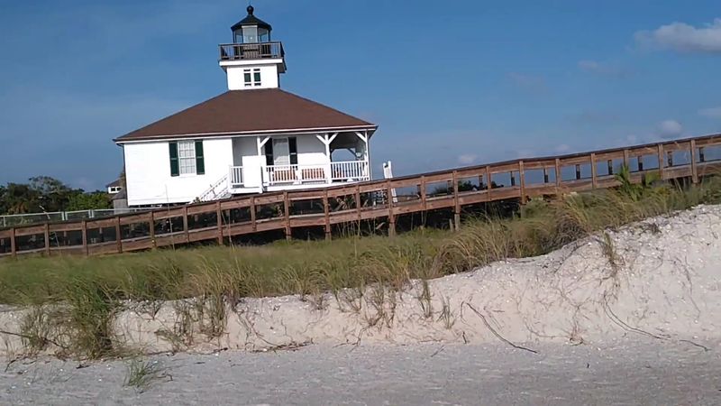 Diverse Wildlife Viewing