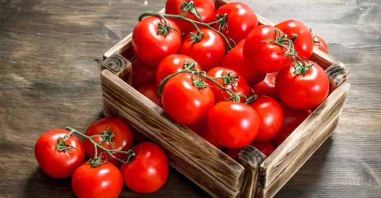FDA Labels Tomatoes Sold In 3 U.S. States As Potentially Dangerous