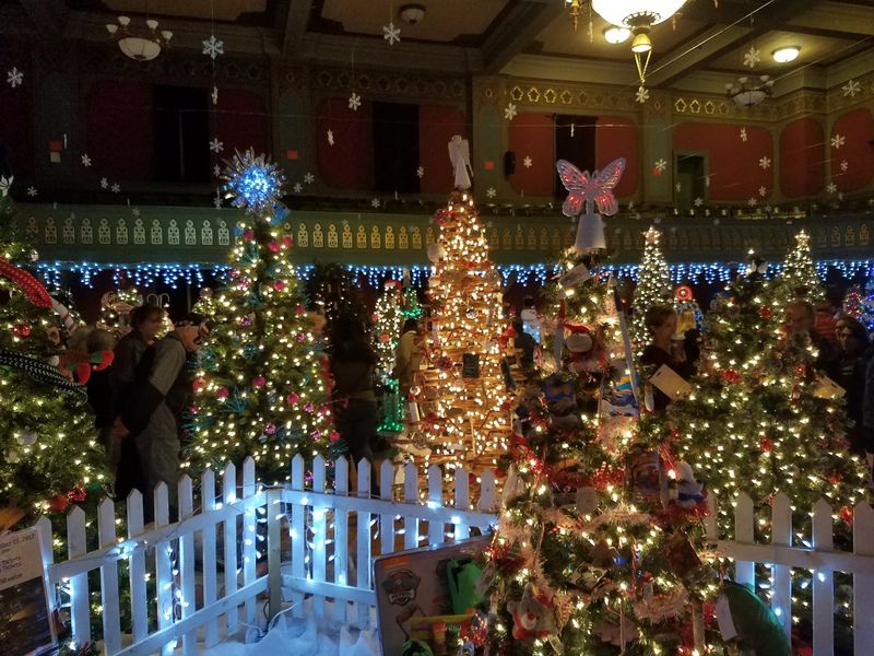 FEZtival of Trees