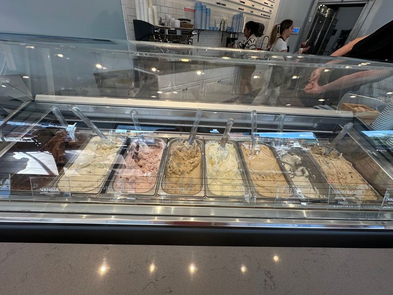 FRÍO Gelato (Evanston, Chicago)
