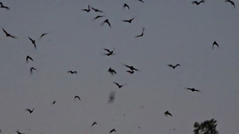 Weather Dependency Creates Anticipation