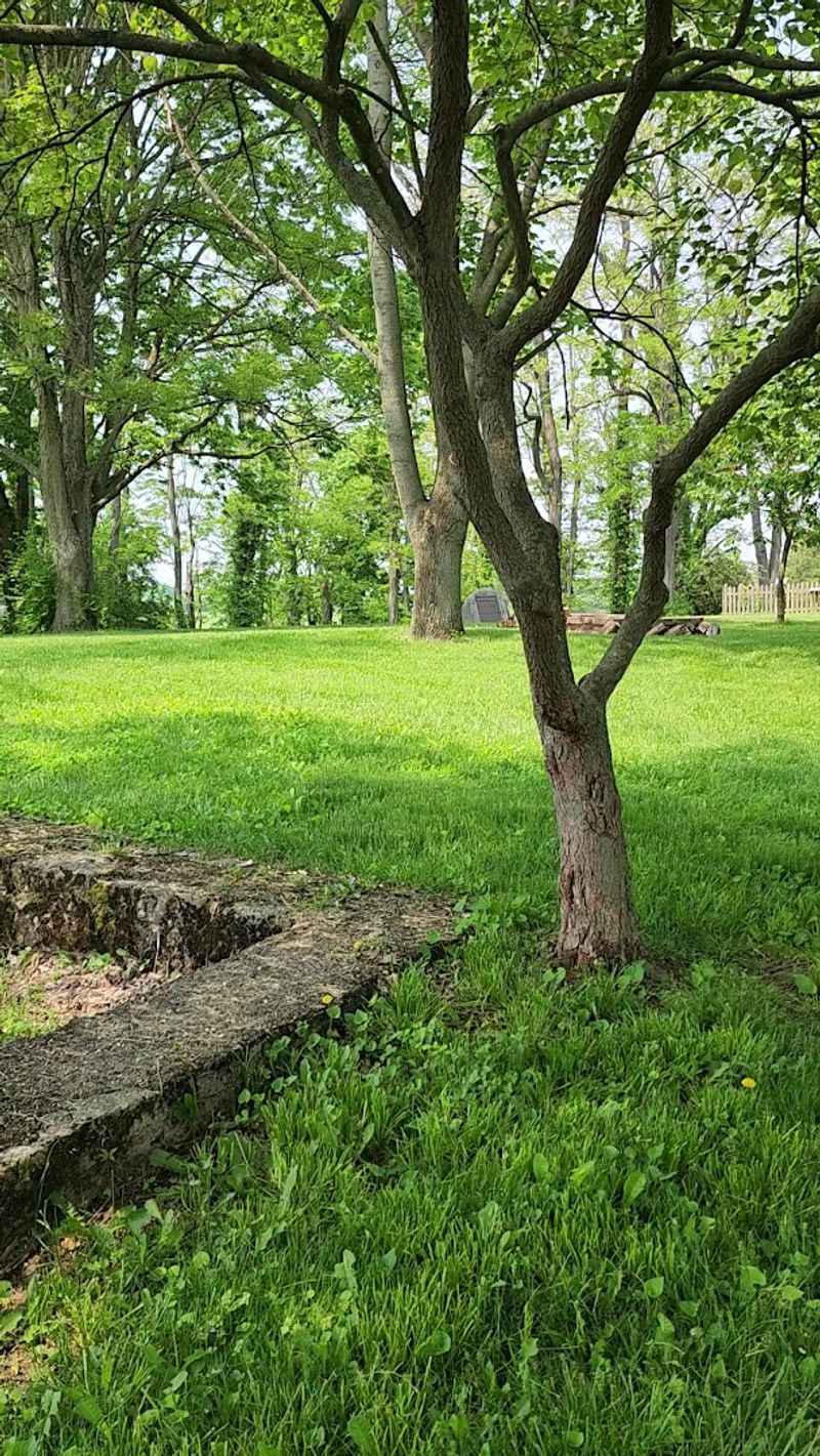 Wildflowers, Seasons, And The Best Time To Visit