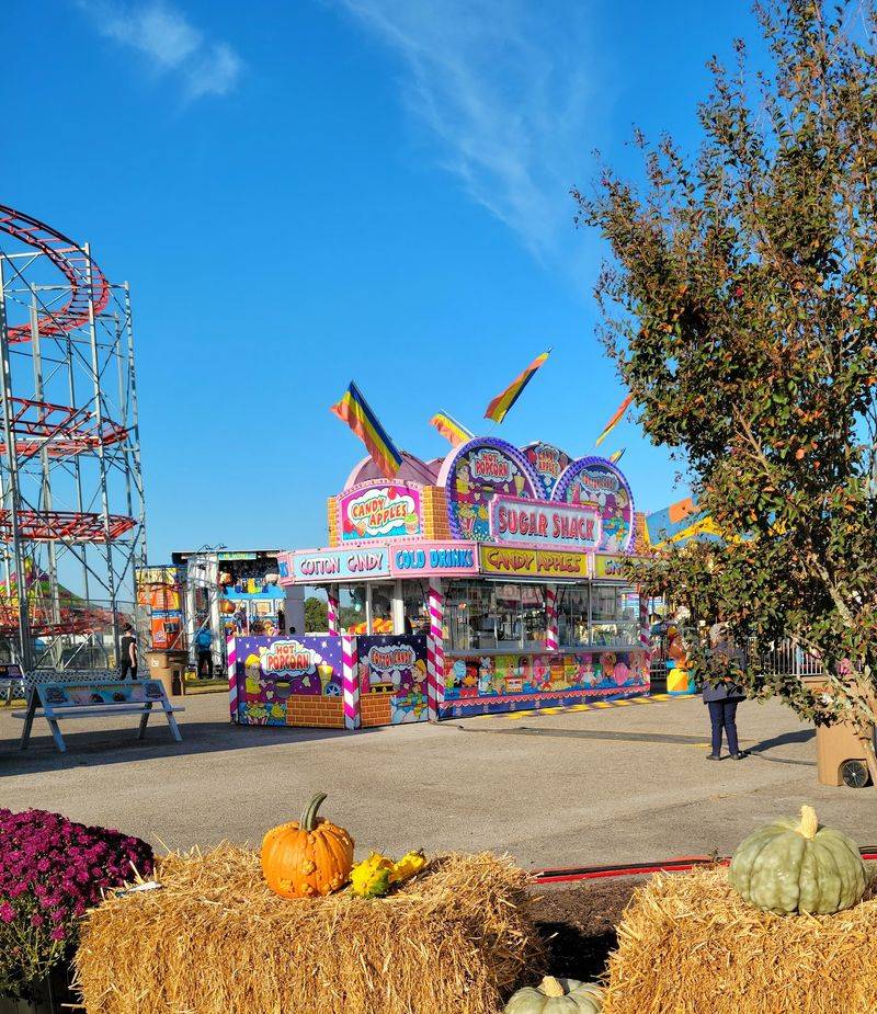 Fair Food That Lives Up to The Hype Fair Food That Lives Up to The Hype