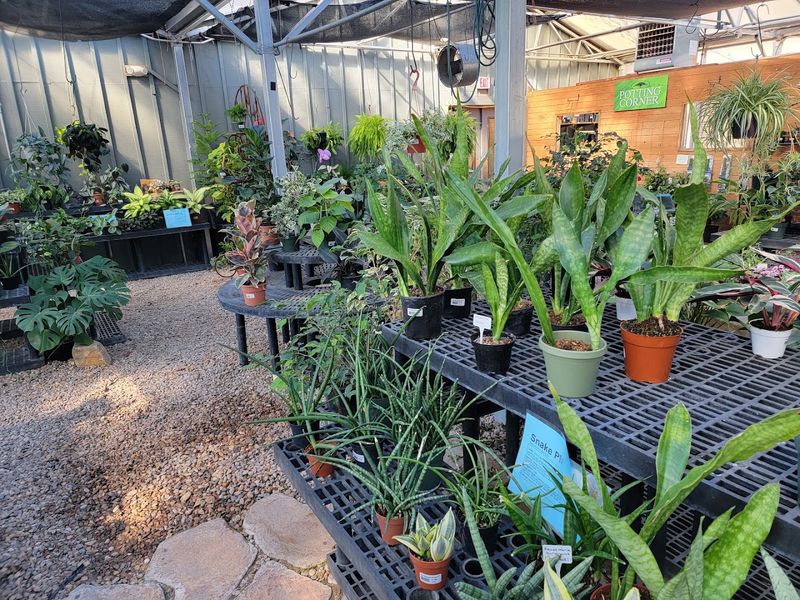 Fair Prices On Healthy, Well-Maintained Stock Fair Prices On Healthy, Well-Maintained Stock