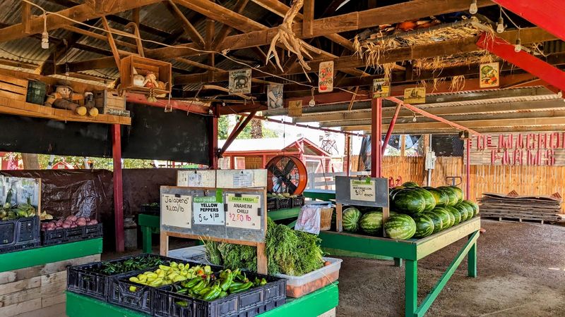 Fair-Style Snacks And A Farm Stand Worth Browsing