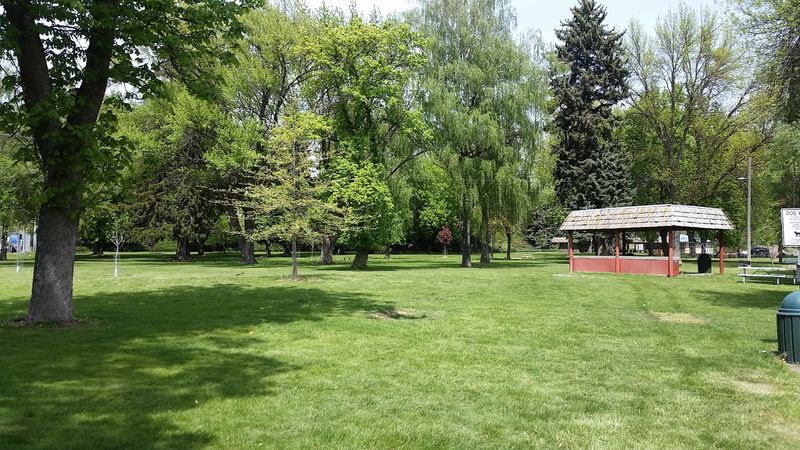 Fairgrounds, Courthouse Steps, and Familiar Faces