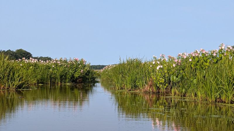 Mentor Lagoons Nature Preserve And Marina