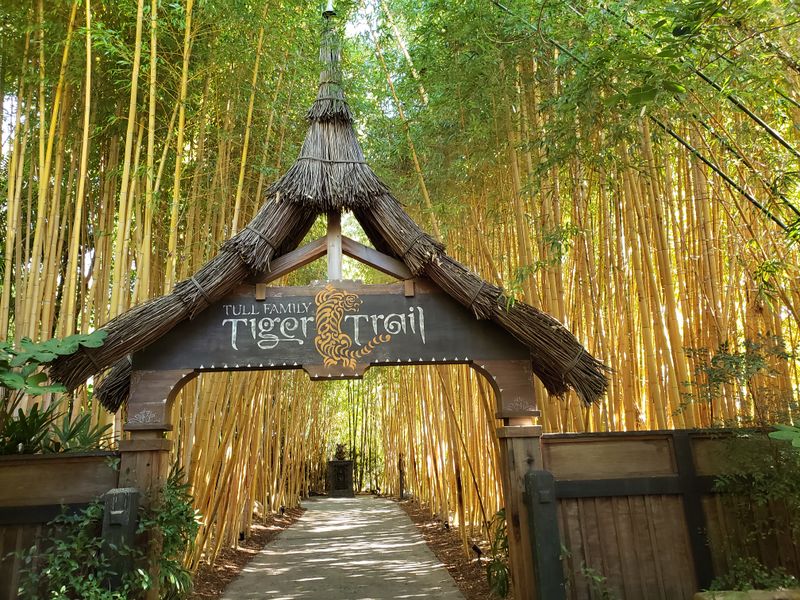 San Diego Zoo Safari Park – Nights of a Million Lights, 15500 San Pasqual Valley Rd, Escondido, CA 92027