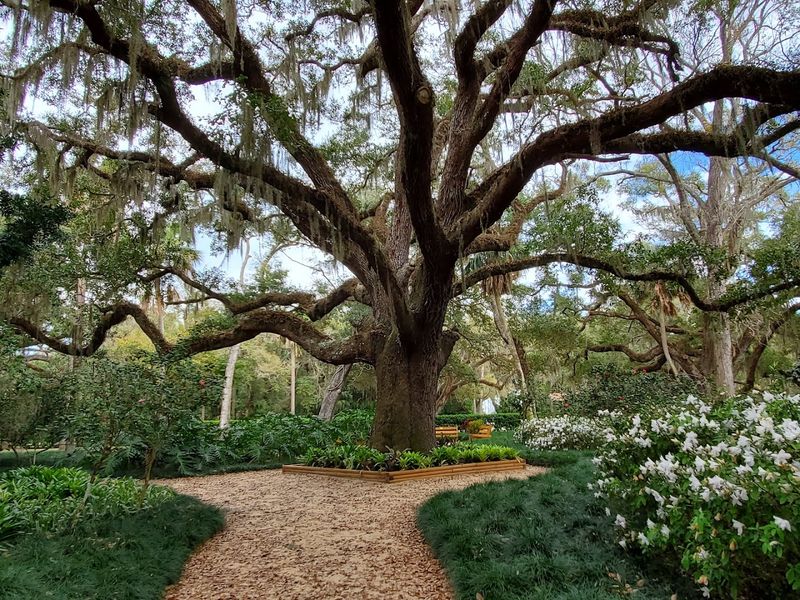 Washington Oaks Gardens State Park 