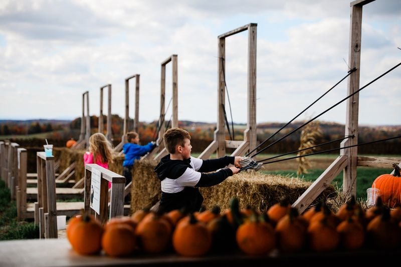 Fall Brings Pumpkins And A Corn Maze Fall Brings Pumpkins And A Corn Maze