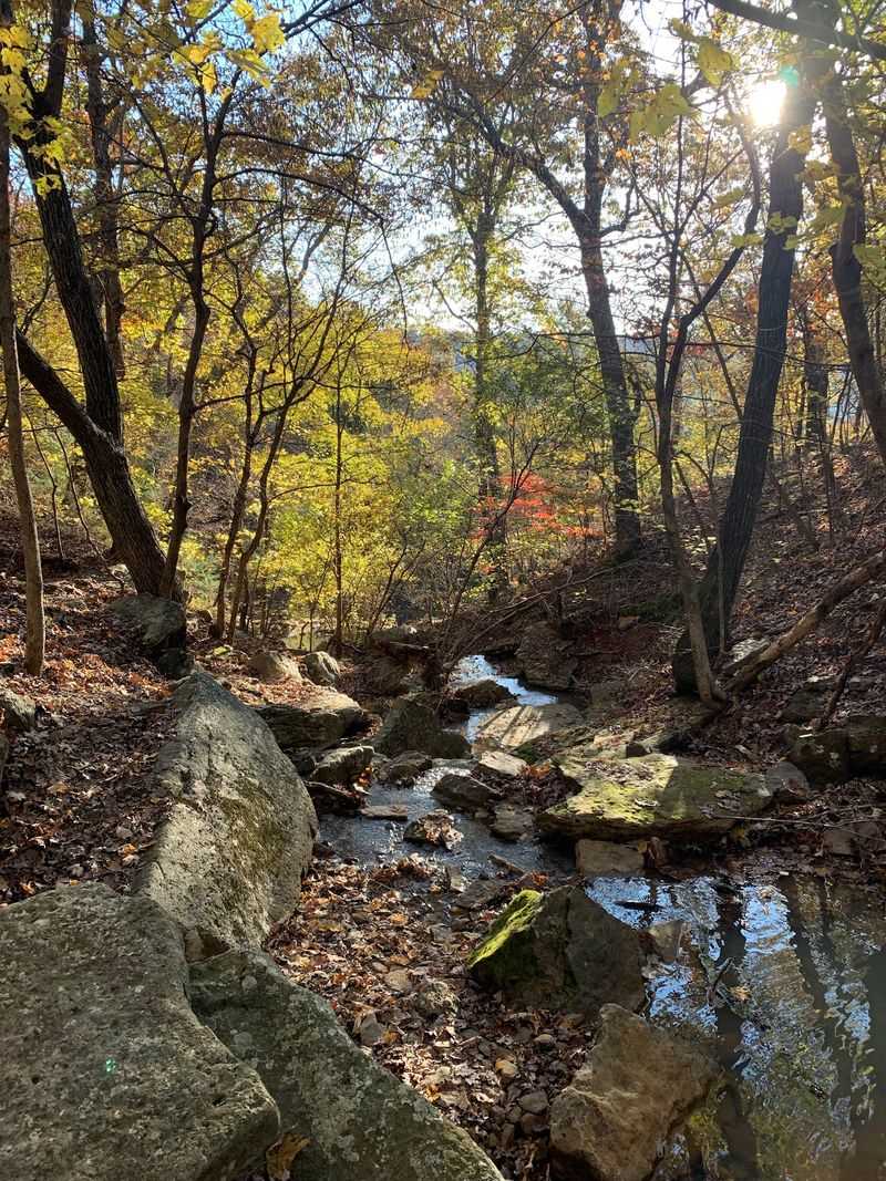 Fall Color At Mountain Height Fall Color At Mountain Height