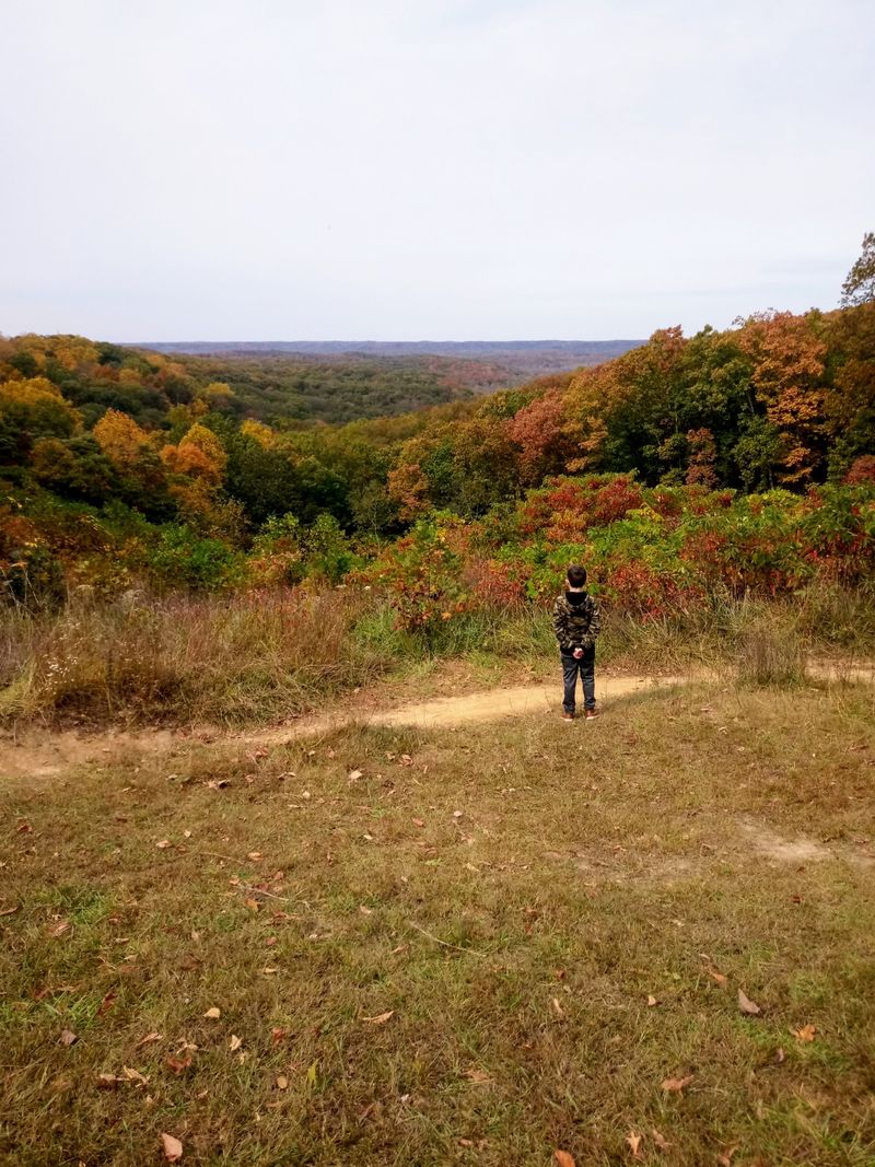 Wildlife Watching From a Bird's-Eye Perspective