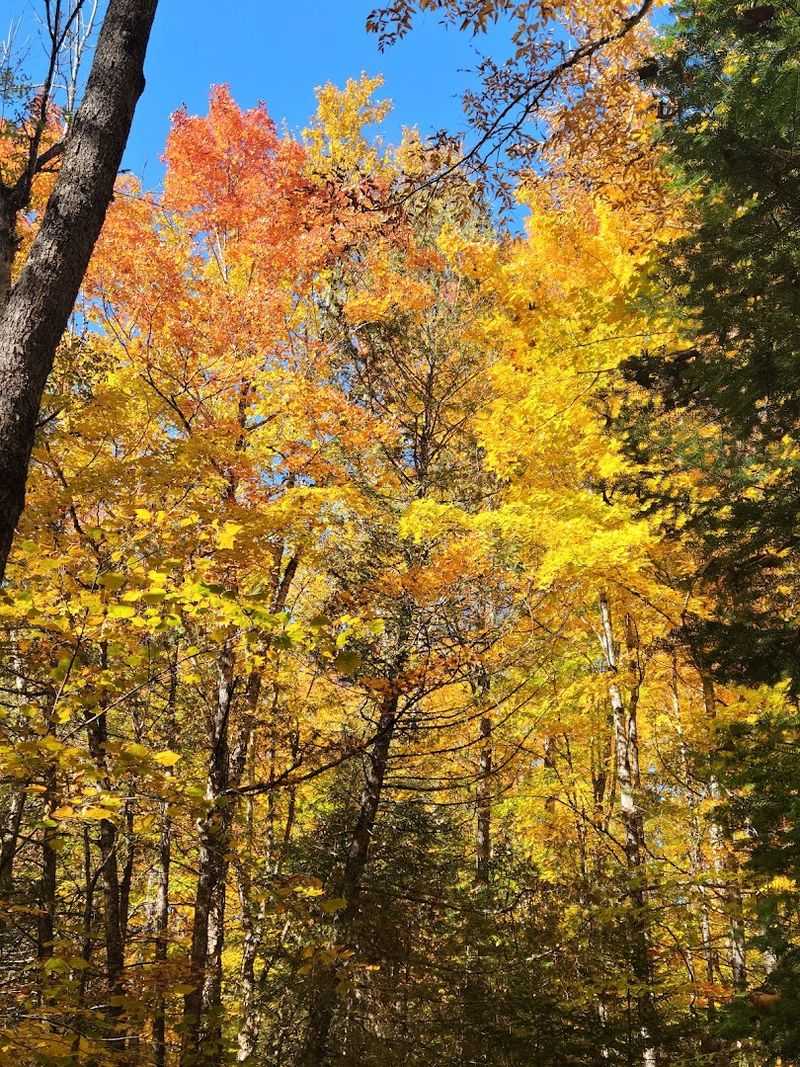 Fall Color Takes Over The Trail Fall Color Takes Over The Trail