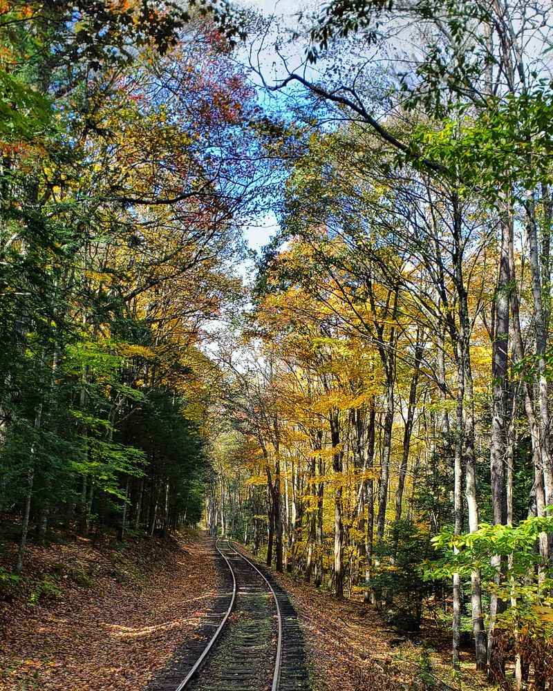 Fall Color Turns Every Seat Into A Window Seat Fall Color Turns Every Seat Into A Window Seat