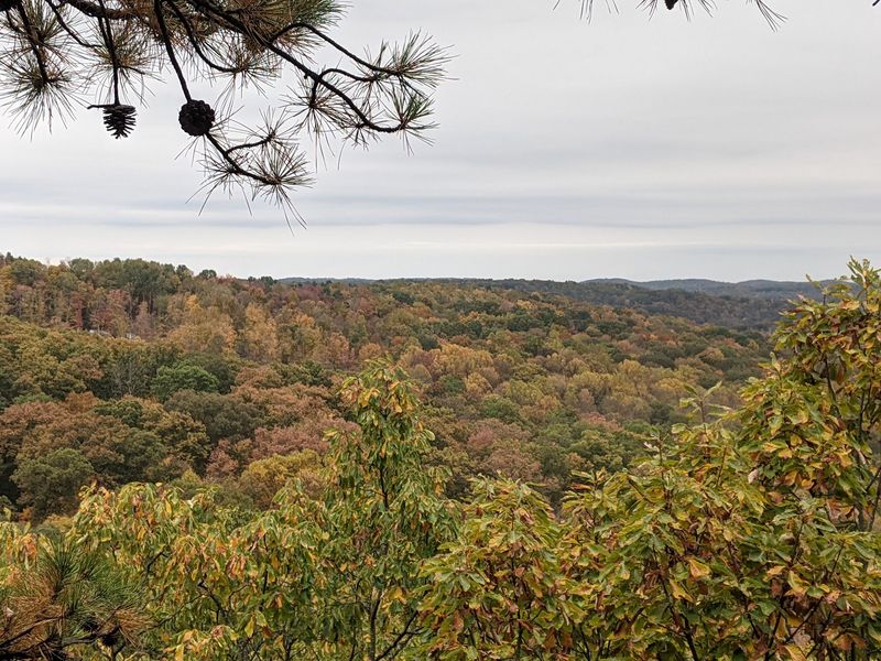 Fall Colors And Every Season In Between