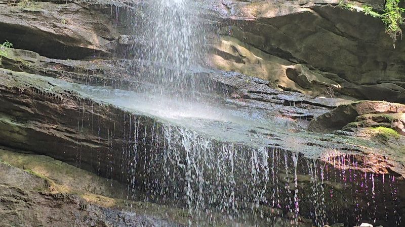 Family-Friendly Features Beyond the Trails