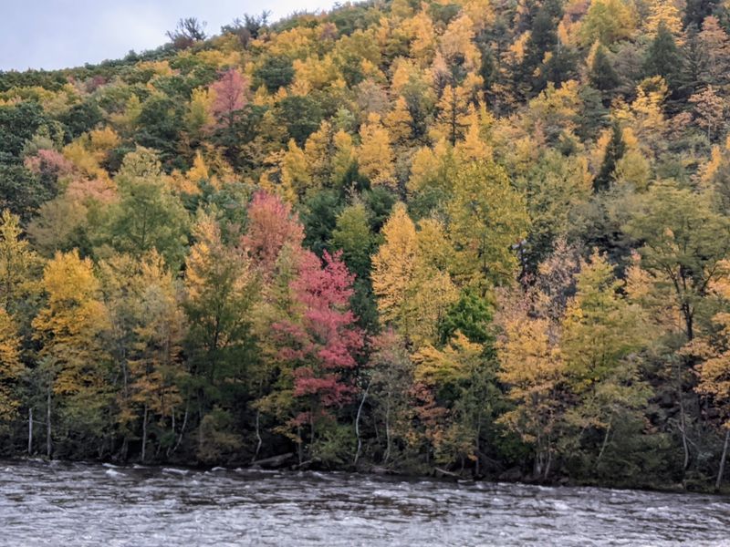 Fall Colors That Steal the Show Fall Colors That Steal the Show