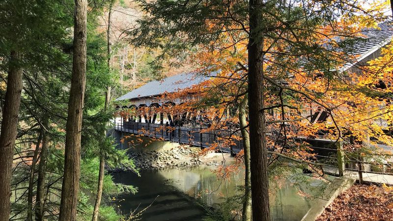 Fall Colors That Turn This Place Into A Painting