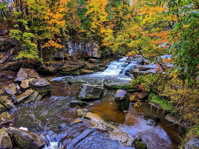 Fall Colors and Seasonal Highlights