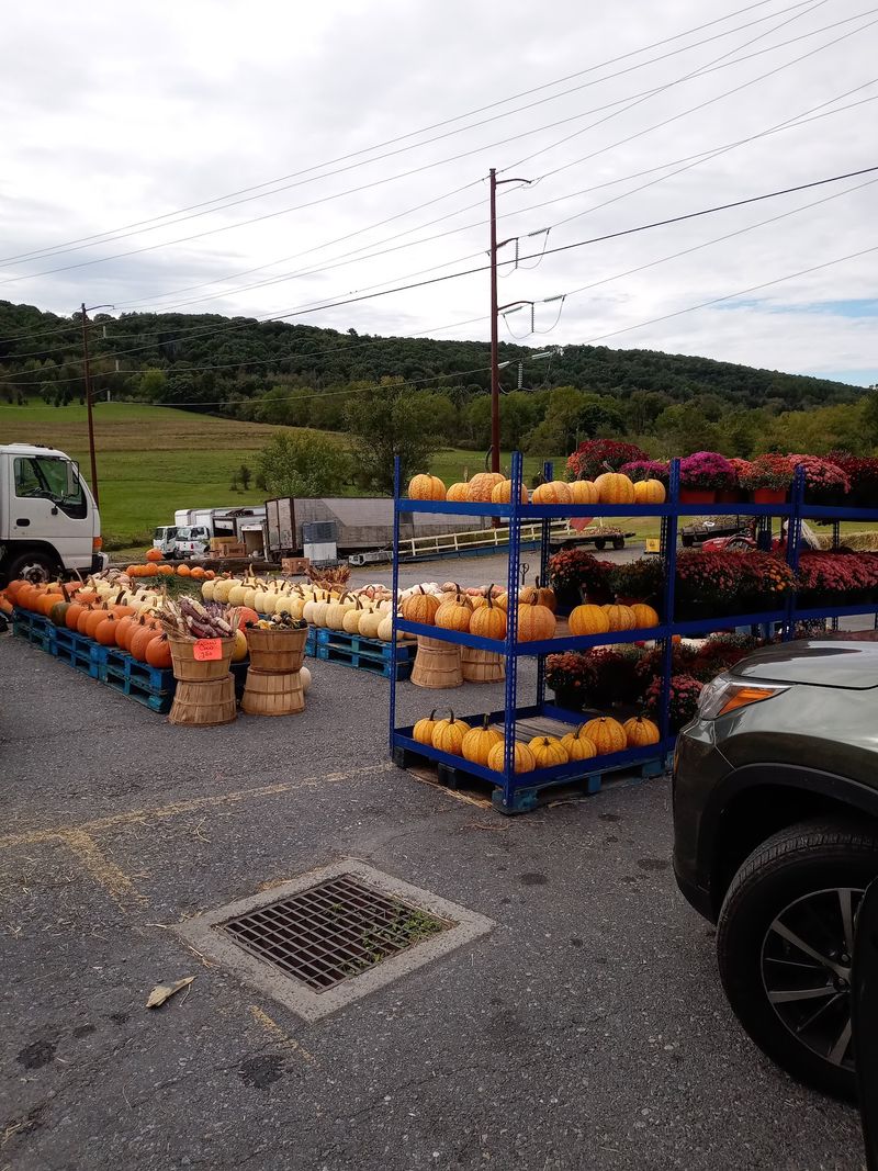 Fall Decorating Gets Cheaper With Mums And Hay Bales