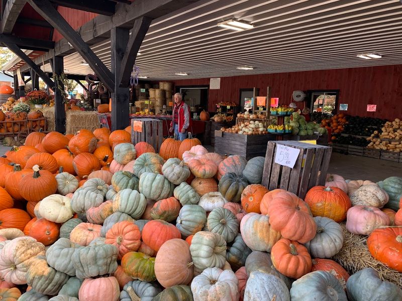 The Friendly Faces Behind the Operation