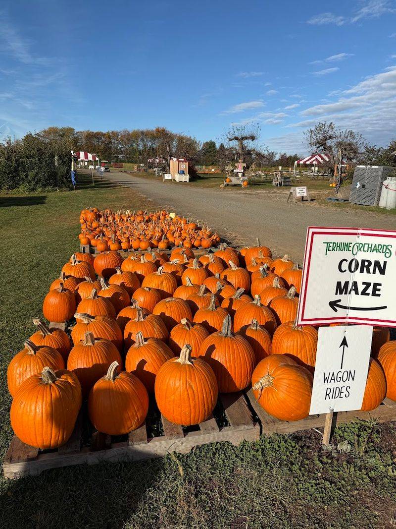 Fall Family Fun Weekends Are An Autumn Bucket List Must Fall Family Fun Weekends Are An Autumn Bucket List Must