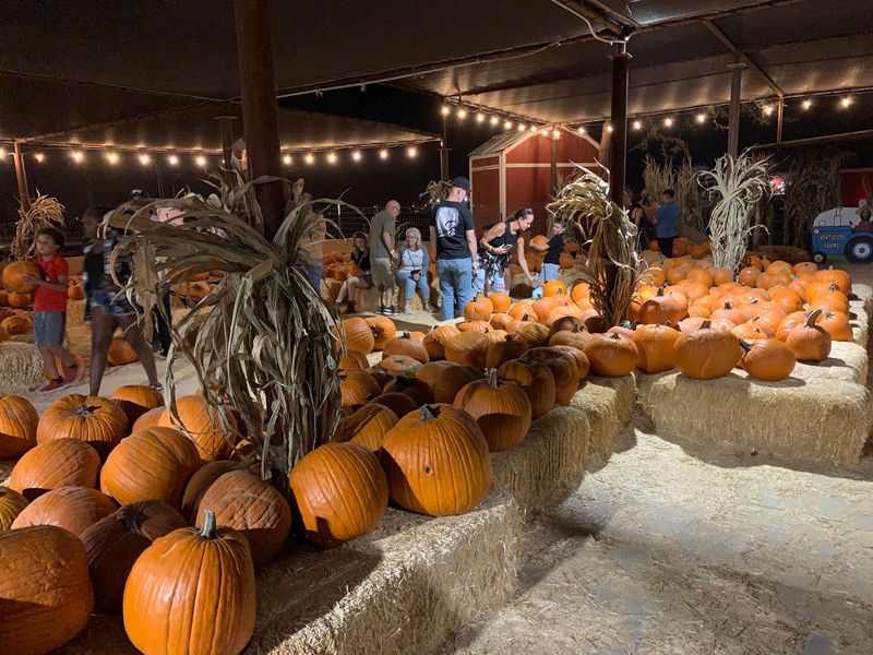 Fall Festival Dates, Tickets And What Your Admission Covers