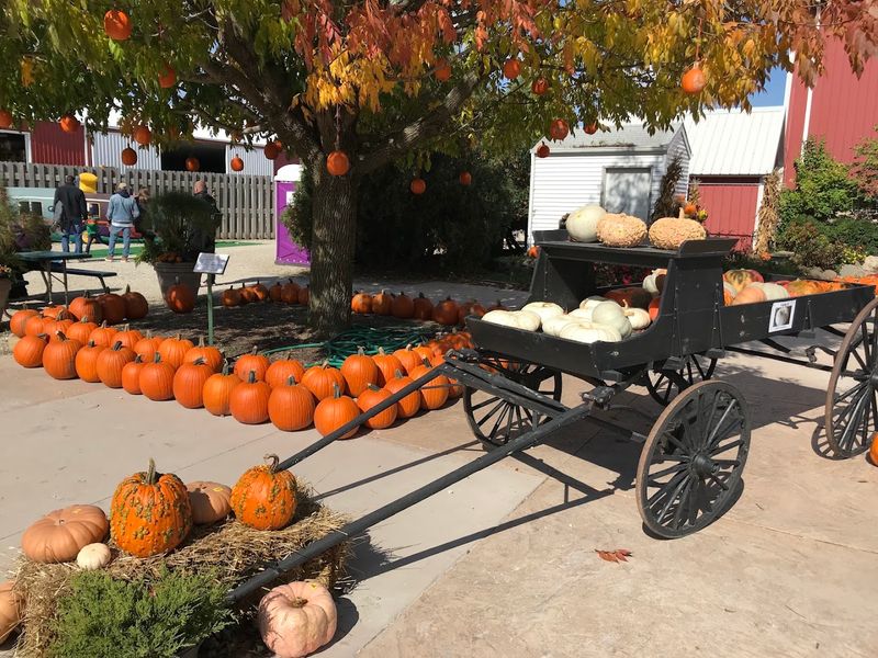Fall Festival Fun For All Ages