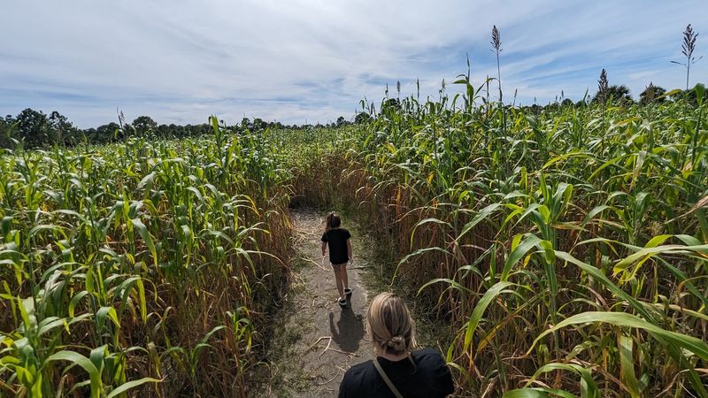 Fall Festivals, Corn Mazes, And Snowball Pits