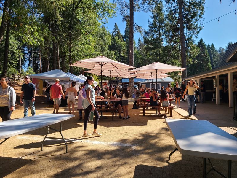 Fall Festivities And A Pie-Eating Showdown