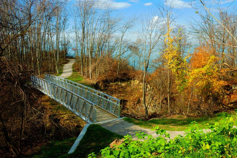 Fall Foliage And Year-Round Appeal Fall Foliage And Year-Round Appeal