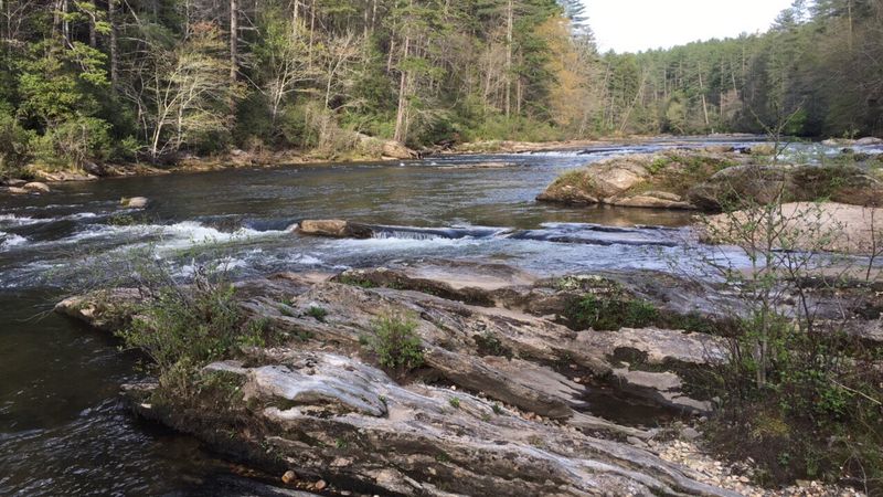 Fall Foliage In Walhalla Turns The Mountains Into A Living Painting