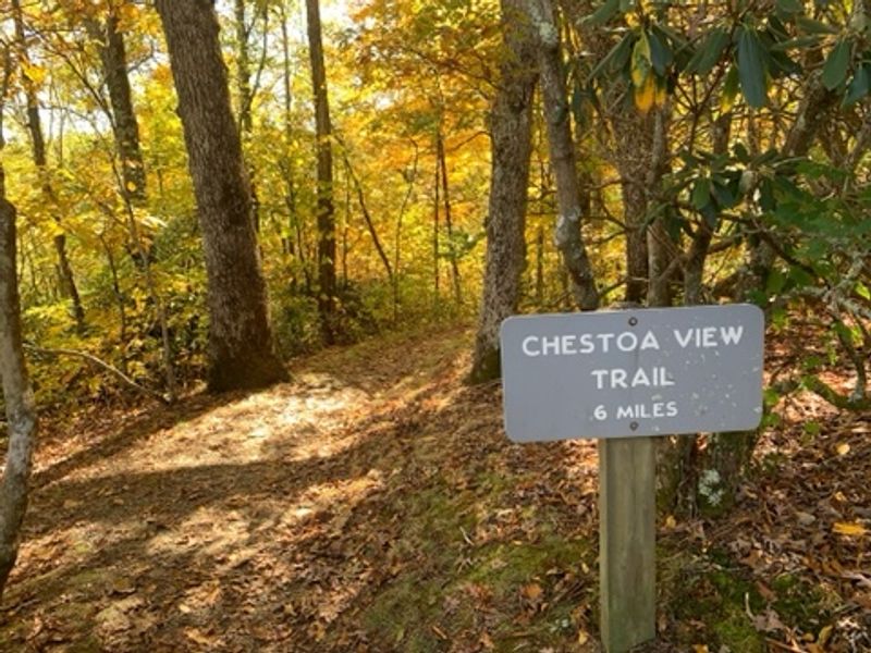 The Sound Of Absolute Silence Up There