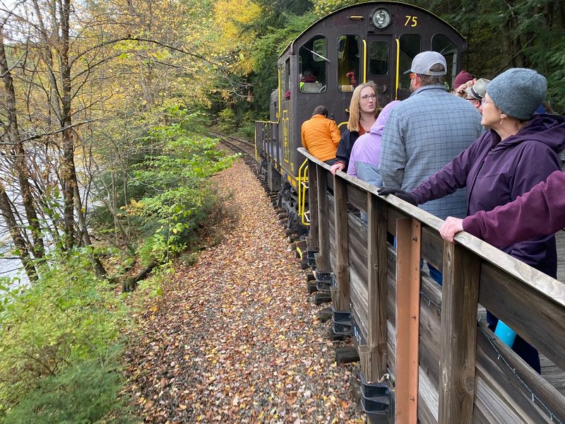 Fall Foliage That Sells Out Fast Fall Foliage That Sells Out Fast