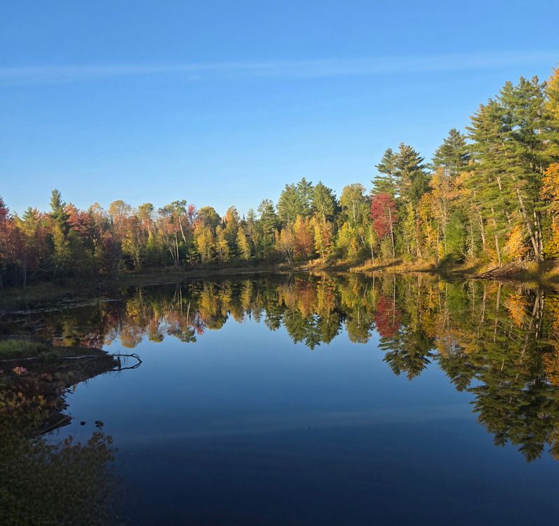 Fall Foliage That Steals The Show Fall Foliage That Steals The Show