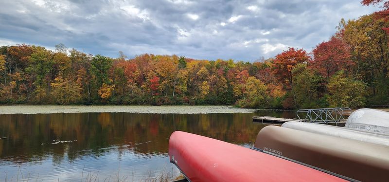 Fall Foliage That Stops You In Your Tracks