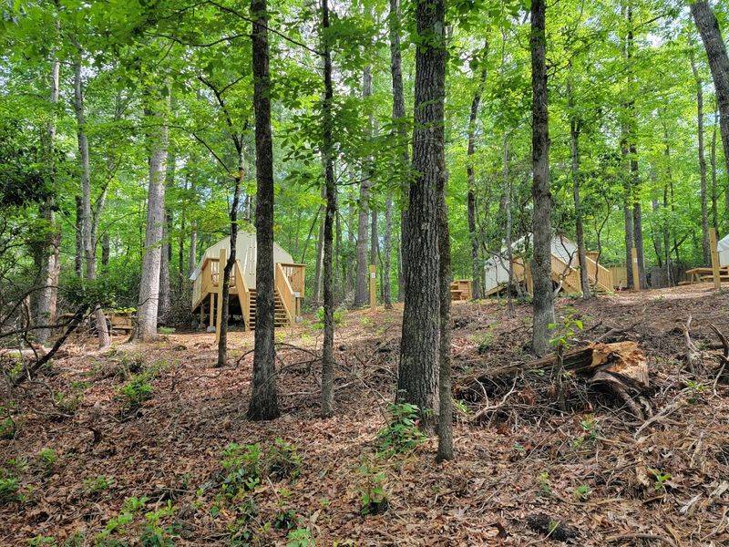 Camping Options For Every Kind Of Outdoor Fan