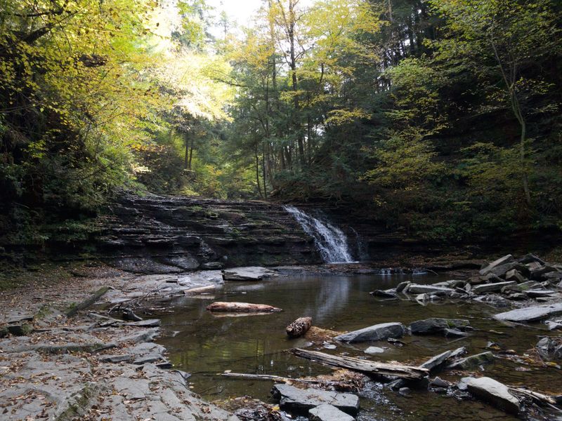 Fall Foliage Turns The Park Into Something Especially Worth Seeing In Autumn