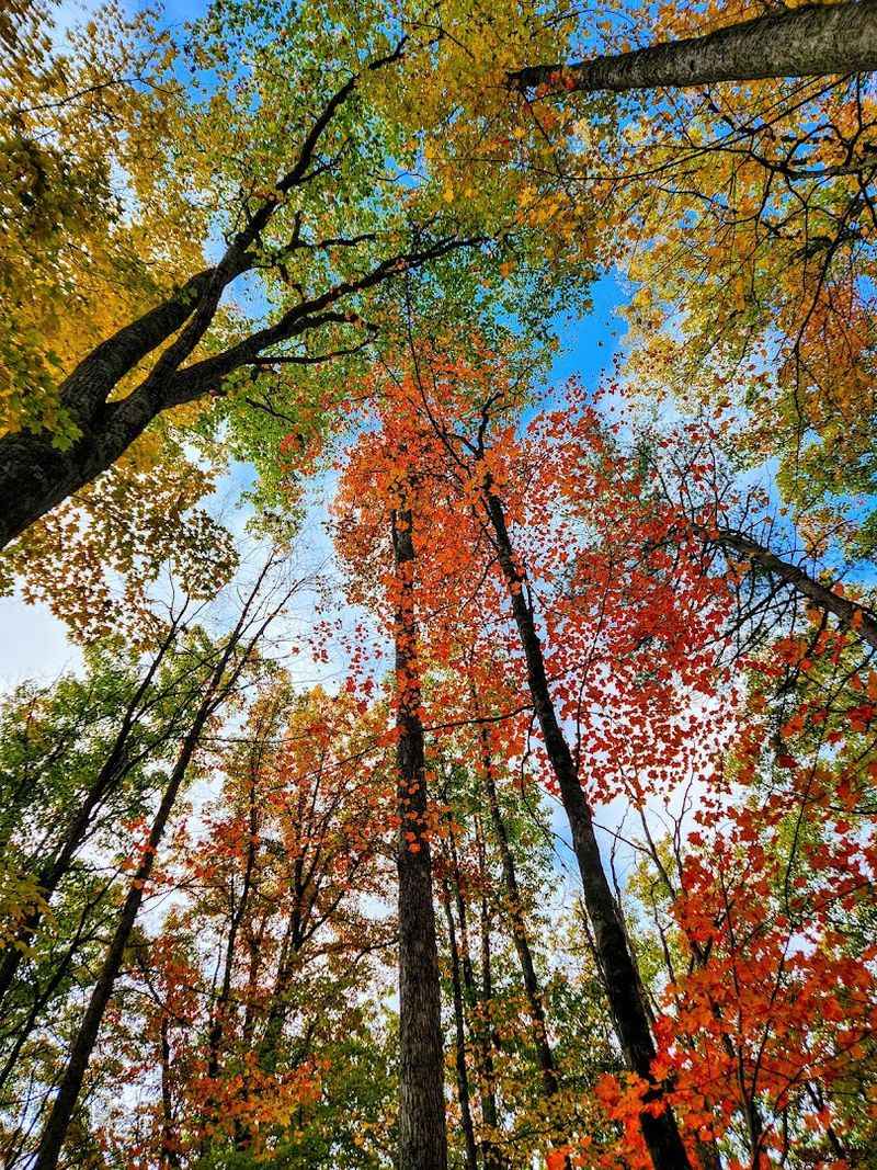 Fall Foliage Turns This Trail Into A Spectacular Color Show
