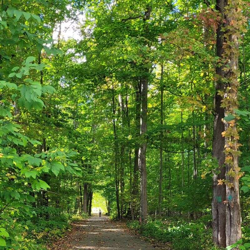 Trails, Nature, and Things to Do Around the Bridge