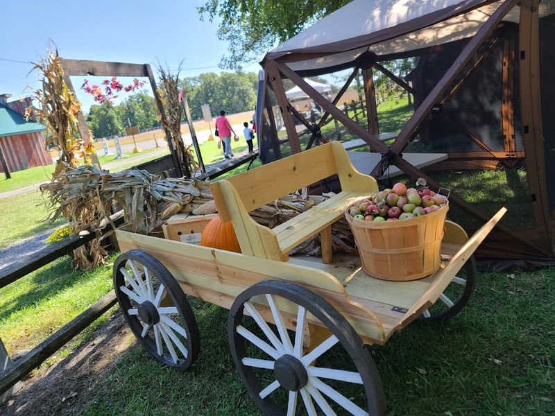 Fall Fun That Goes Beyond The Usual Fall Fun That Goes Beyond The Usual