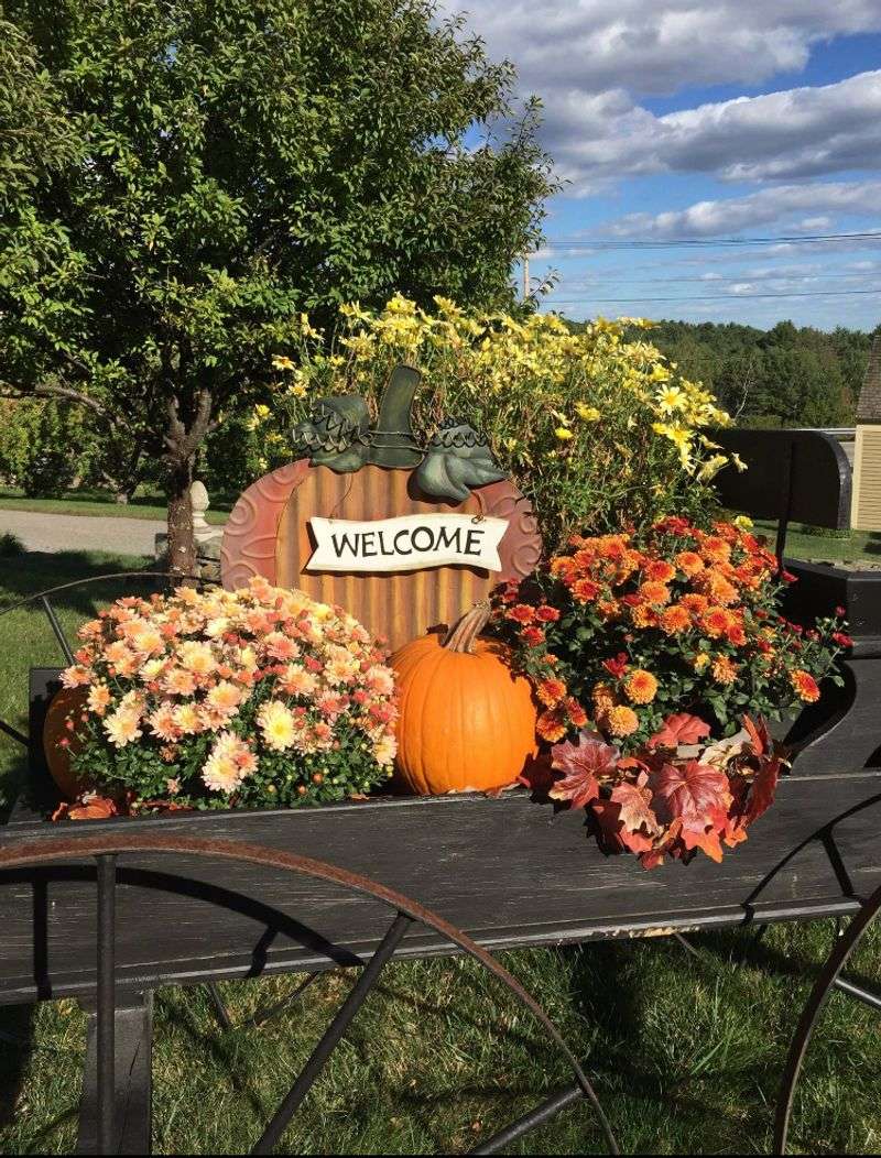 Fall Gets The Spotlight, But Summer Brings Berries And Peaches