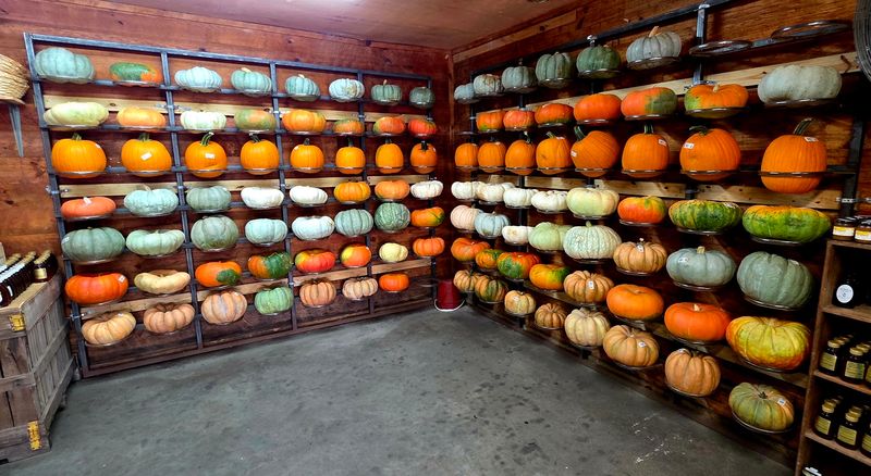 Fall Turns The Farm Into One Giant Playground