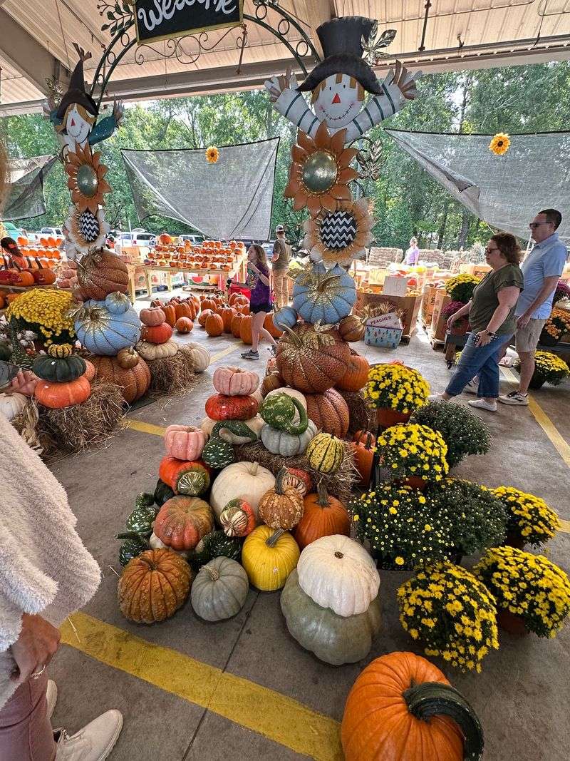 Fall Turns The Place Into A Pumpkin Wonderland