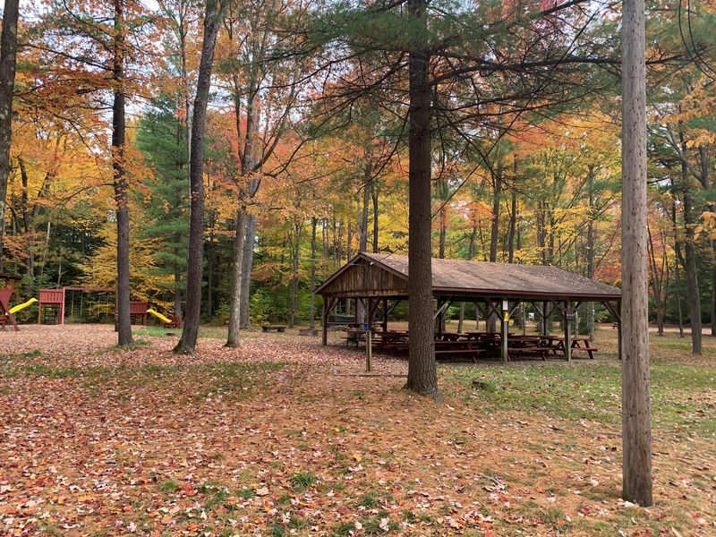 Fall Turns The Whole Place Gold