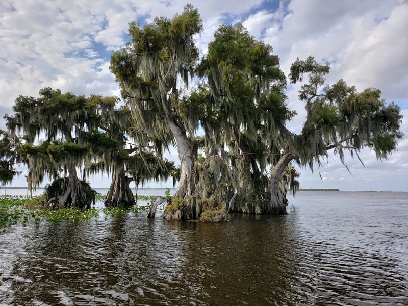 Lake Istokpoga, Sebring