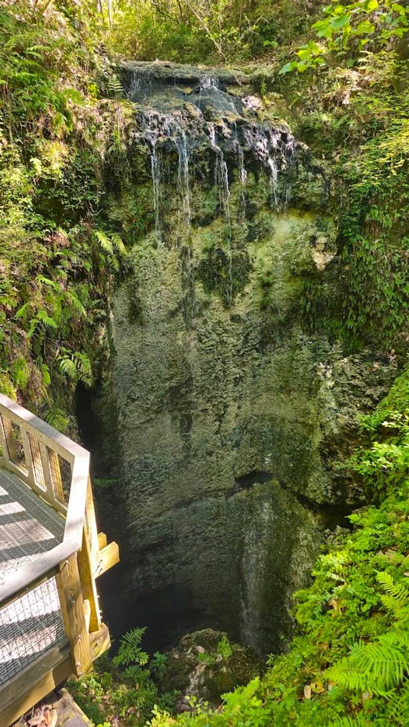 Falling Waters State Park, Chipley